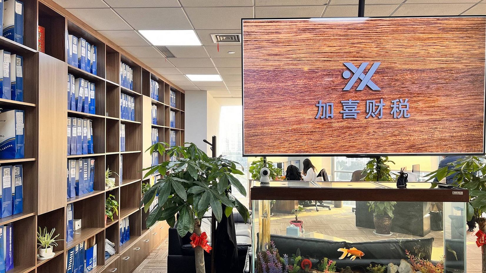 كيفية إنشاء الدفاتر المحاسبية وتعيين الحسابات بعد تأسيس الشركة